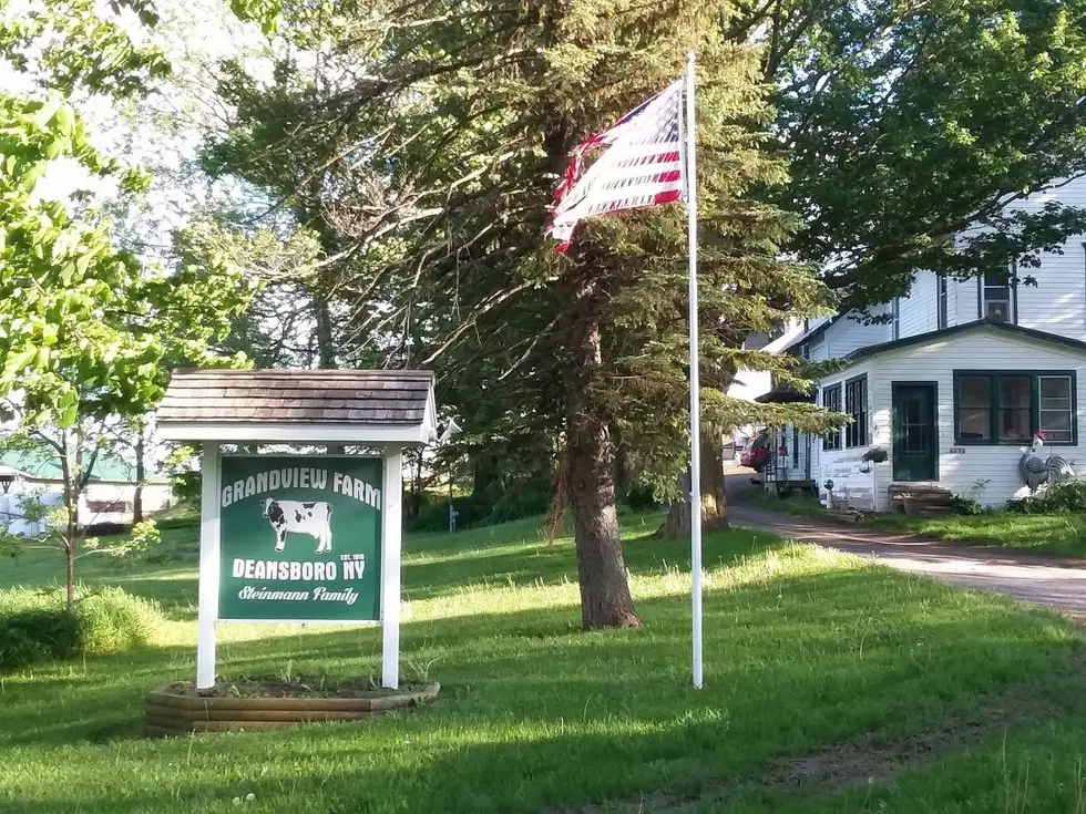 Grandview Farms