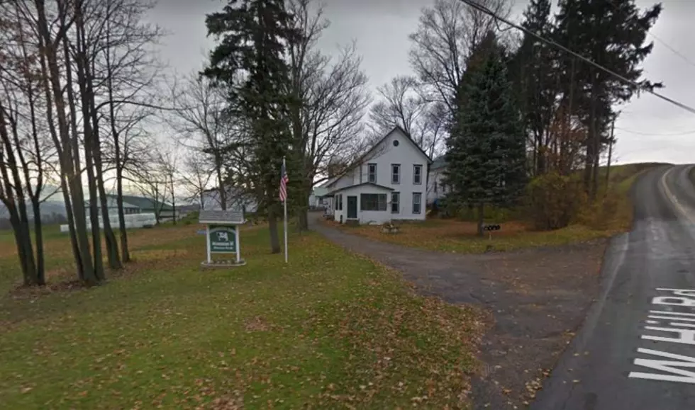 Meet a Central New York Farmer -  Grandview Farm in Deansboro