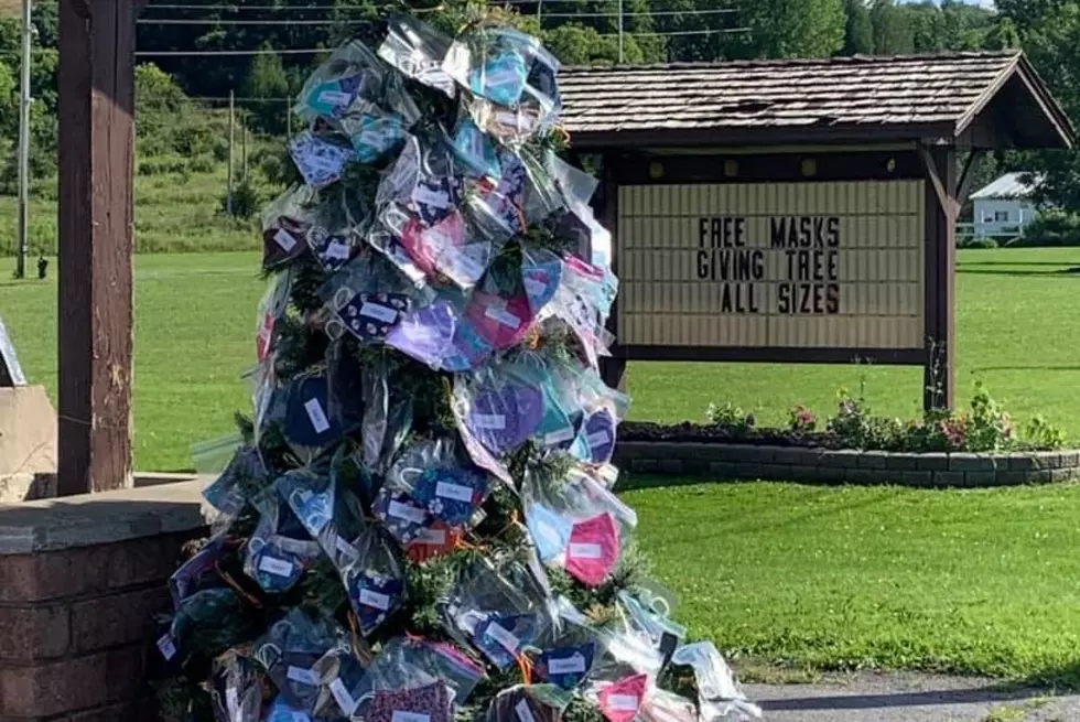 Need a Mask? There&#8217;s a Tree Full of Free Ones in Central New York