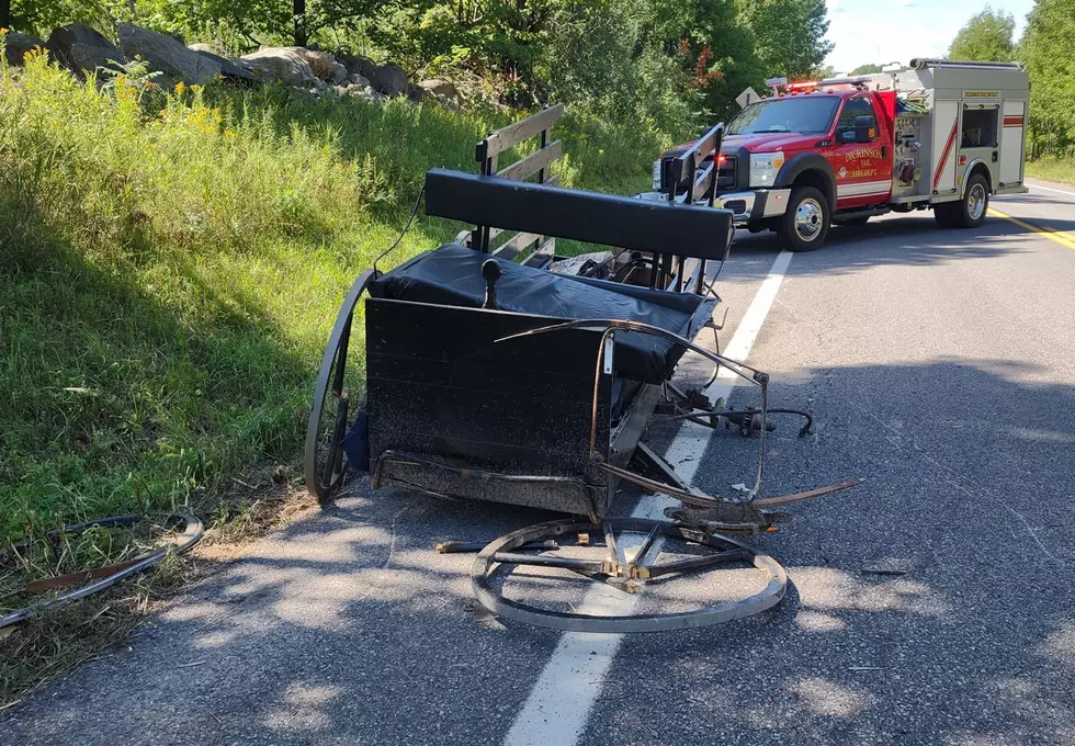 Four Children Injured in Amish Buggy Crash Near Buffalo, Two Critically