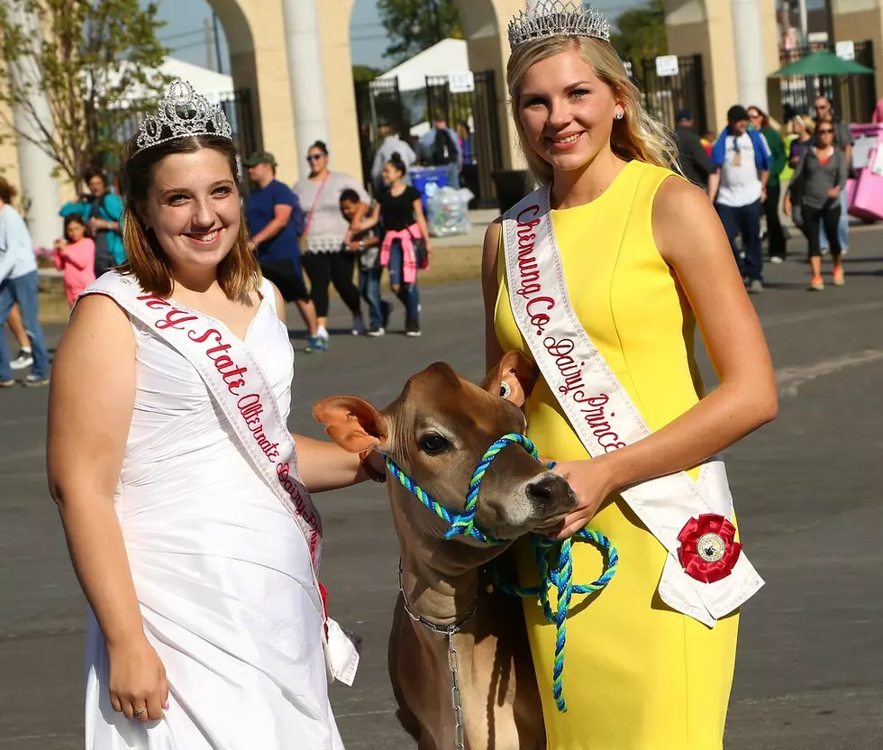 New York State Fair Dairy Experience Goes Virtual For 2020