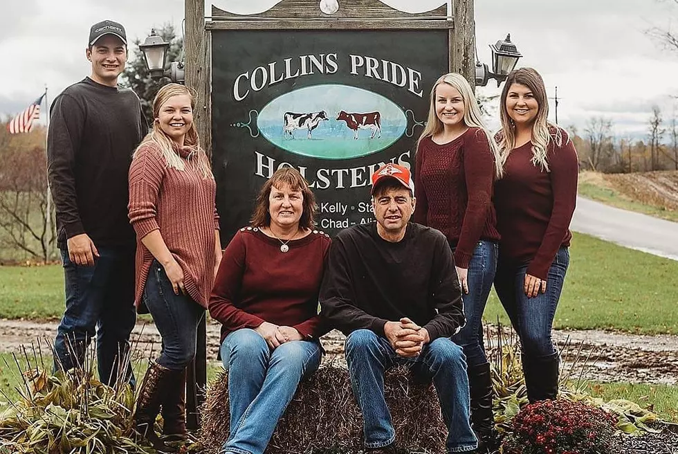 Meet a Central New York Farmer- Collins-Pride Holsteins Farm