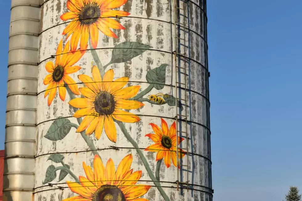 Painter Creates Stunning Sunflower Silo on New York Farm