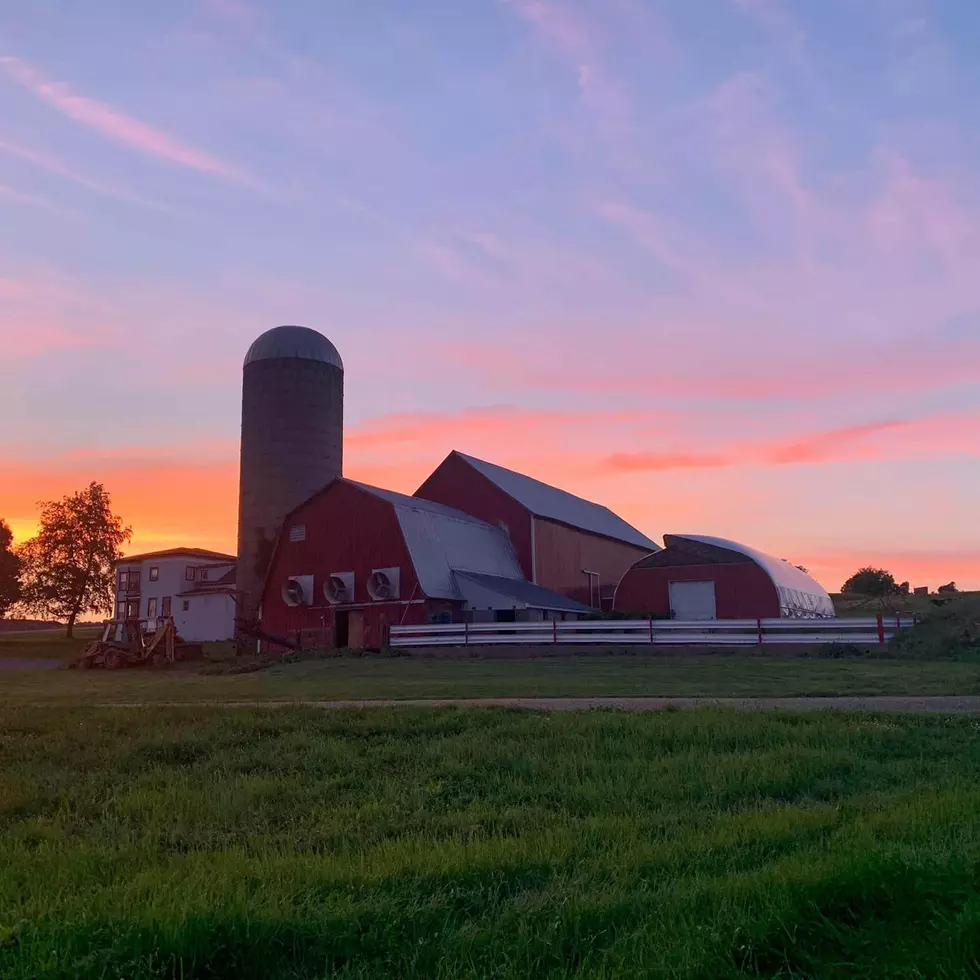 Meet a Central New York Farmer &#8211; Edge of a Dream Dairy