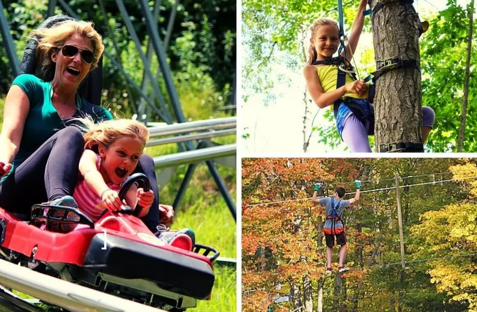 Have an Adventure at Largest New York Aerial Park With Mountain Coaster and Climbing Forest
