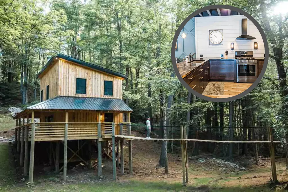 Visit Remsen Treehouse with Private Waterfall, Luxury Kitchen