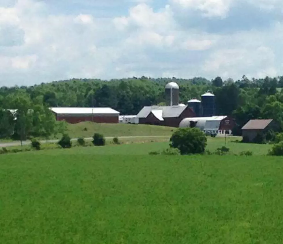 Meet a Central New York Farmer - Atrass Farm in Clayville