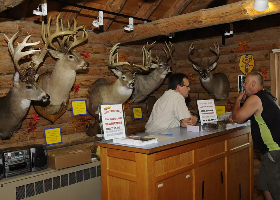 New York DEC Operating Two Deer-Bear Check Stations Opening Weekend