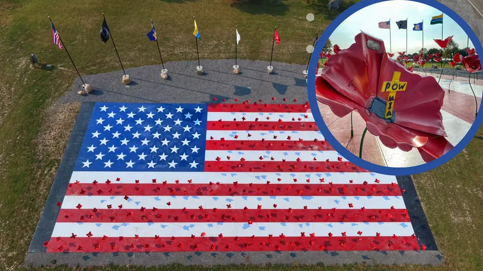American Flag Covered in Poppies Honors New York Veterans