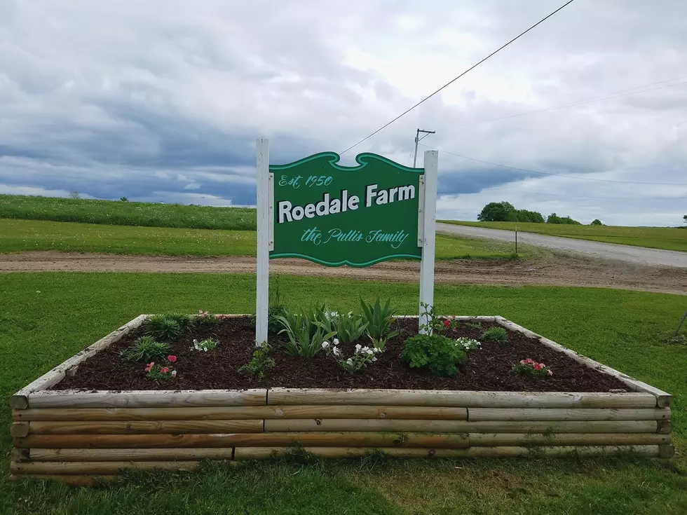 Meet a Central New York Farmer - Jesse and Renee Byma