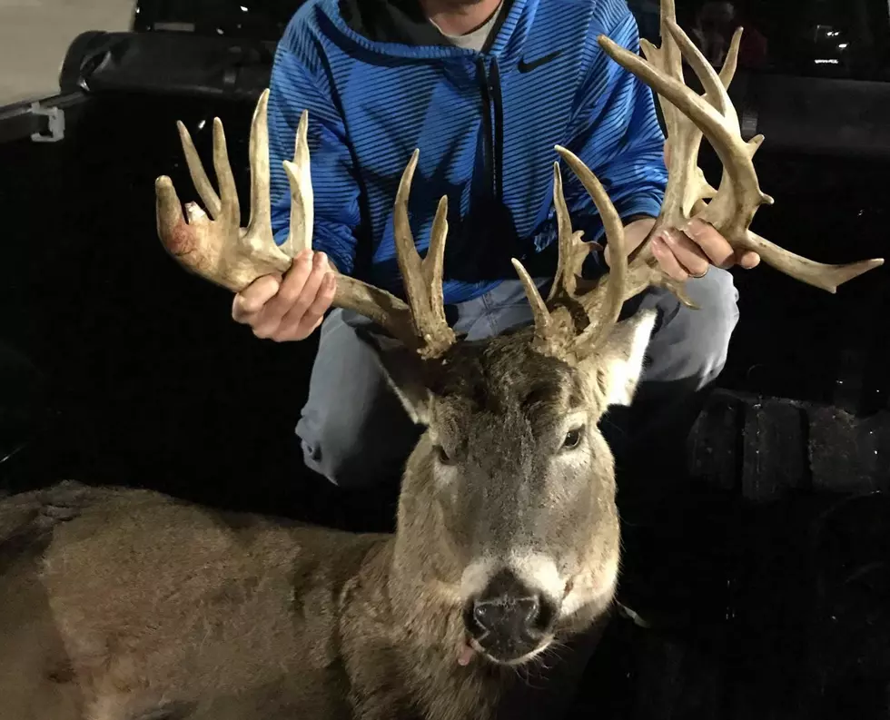 Holy Buck! New York Hunter Bags Once in a Lifetime 27 Point Deer