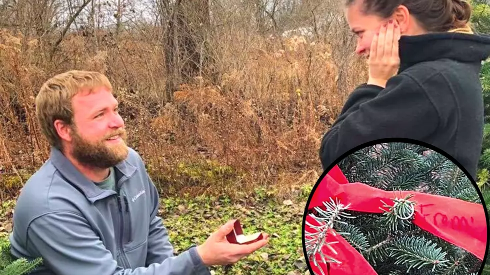 Fairytale Proposal at Christmas Tree Farm in Central New York