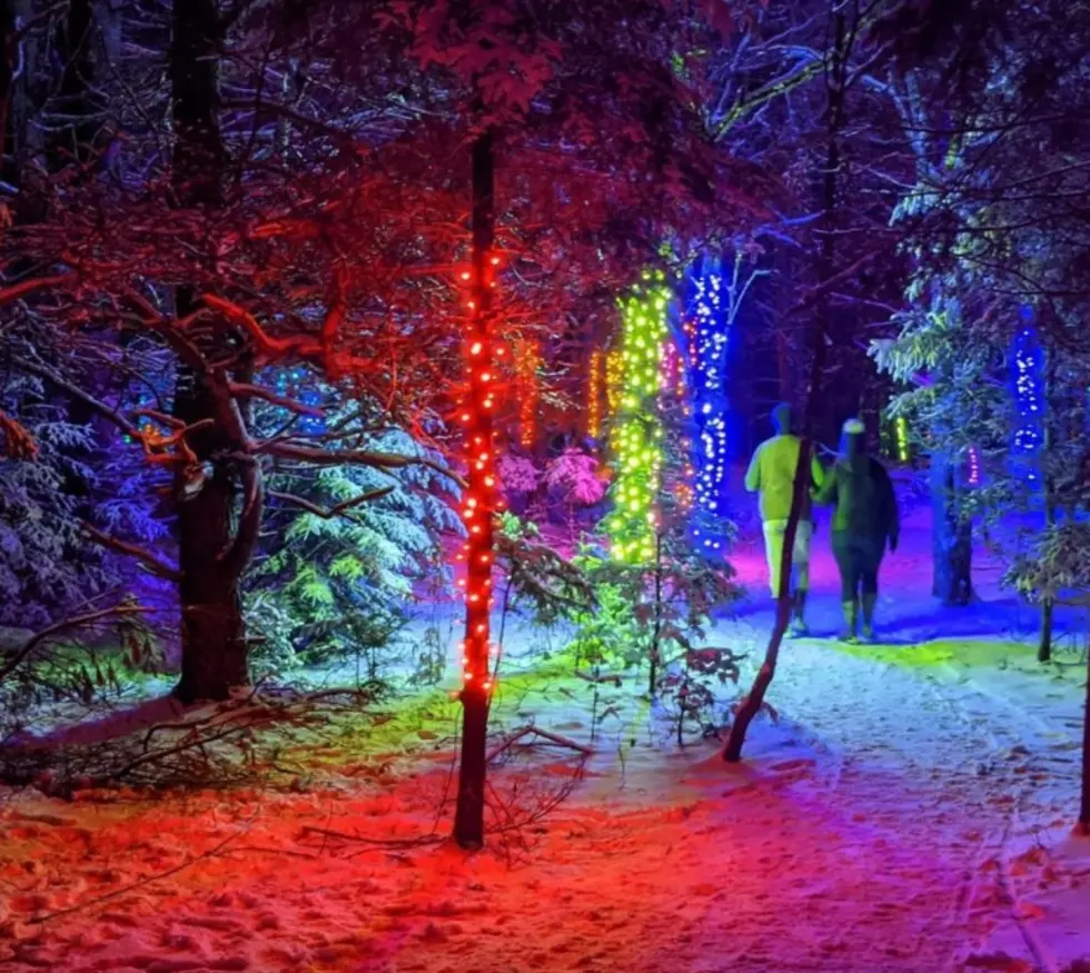 Take An Enchanting Winter Wonderland Stroll Through the Adirondack Wild Lights
