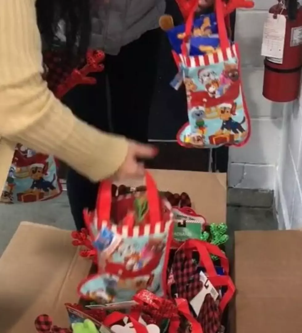 Someone Dropped off Stockings For All the Dogs at a New York Shelter