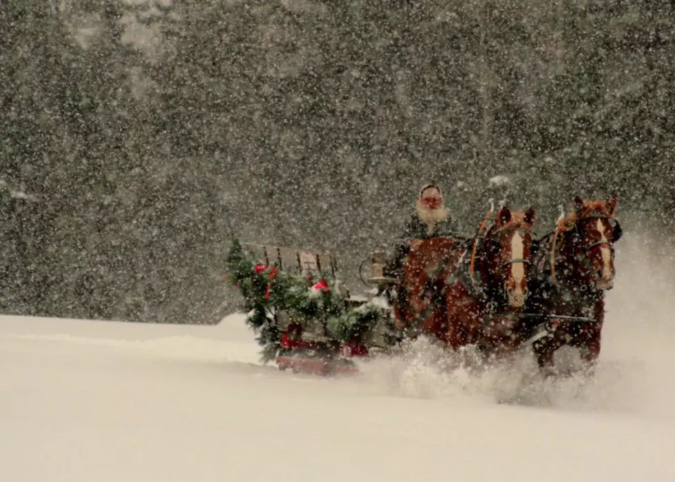 Go Dashing Through the Snow in the Adirondacks on Horse Drawn Sleigh Rides