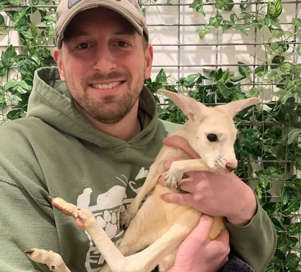 Photo Credit -Animal Adventure Park