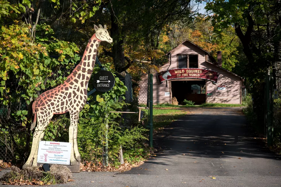 New Owners Keeping Old Game Farm Legacy Alive in the Catskills