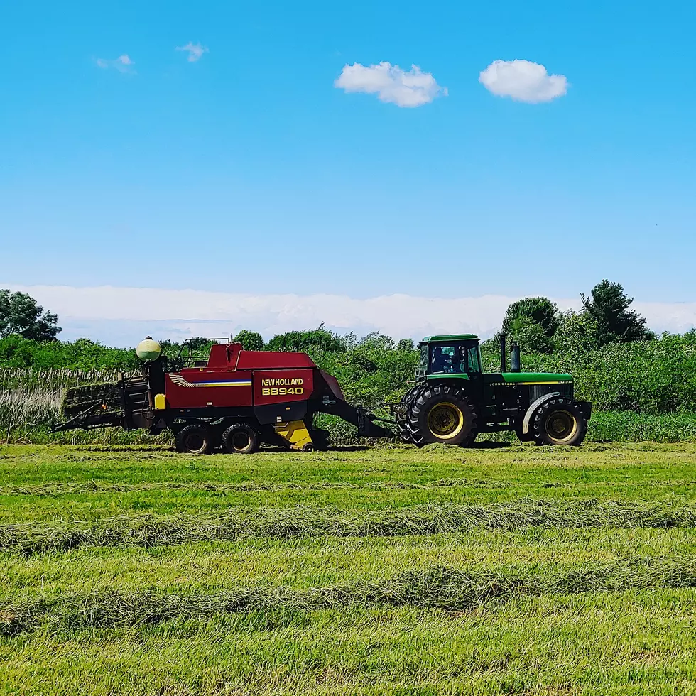 Meet Central New York’s Farm Families – Pine Grove Cattle Company