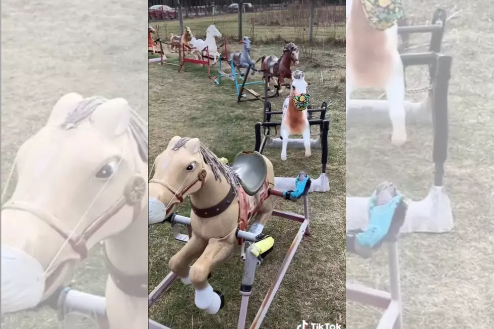 Ponyhenge: Visit the Creepy Landmark Less Than Four Hours From Utica