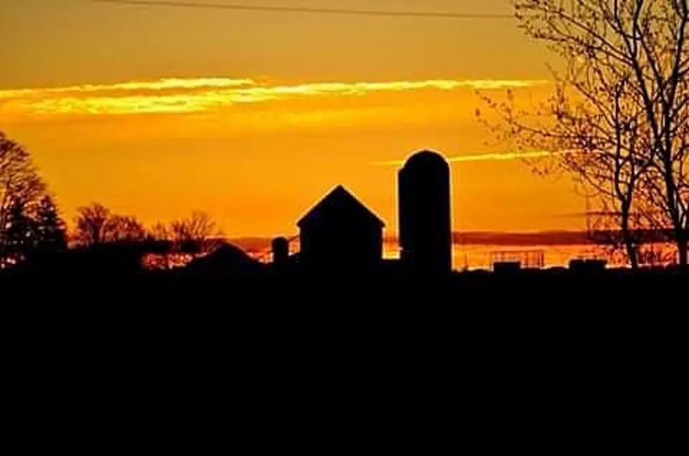 Meet Central New York’s Farm Families – Vickerson Farm