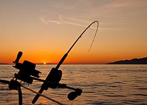 Reeling in Change: New Regulations for 2024 Fishing Season in...