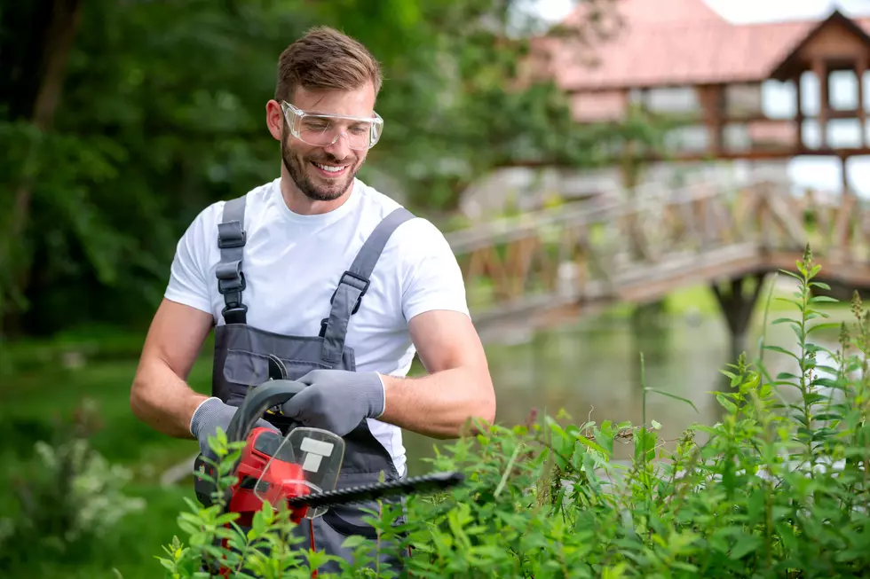 How White&#8217;s Farm Supply Can Help You Go Green During Yardwork