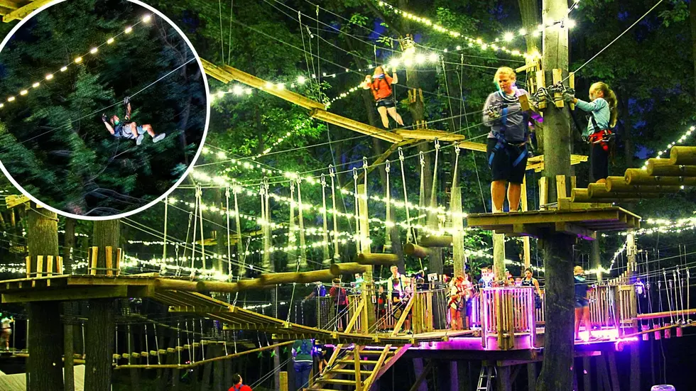 Climb Among the Trees For a Glow in the Park Adventure Like None Other in New York