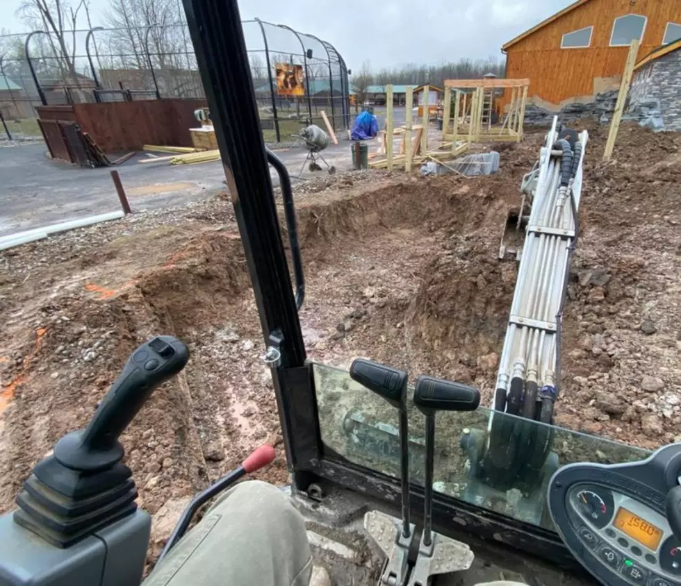 What Are They Digging Up at the Wild Animal Park in Chittenango