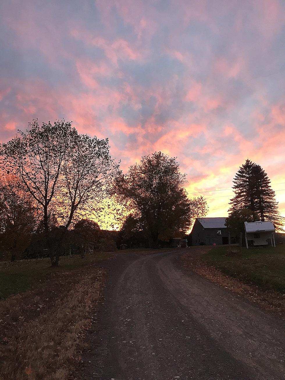 The Animals and Land’s Well Being Come First at Drover Hill Farm