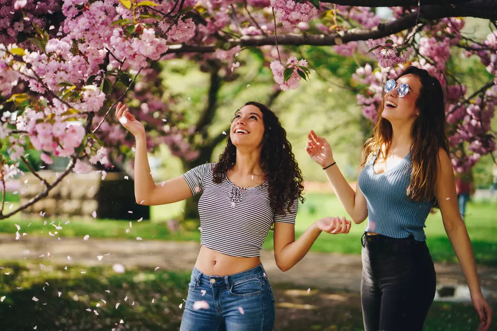 Lilac Festival Oprah Named One of the Best in the U.S. is Back in CNY For 2021