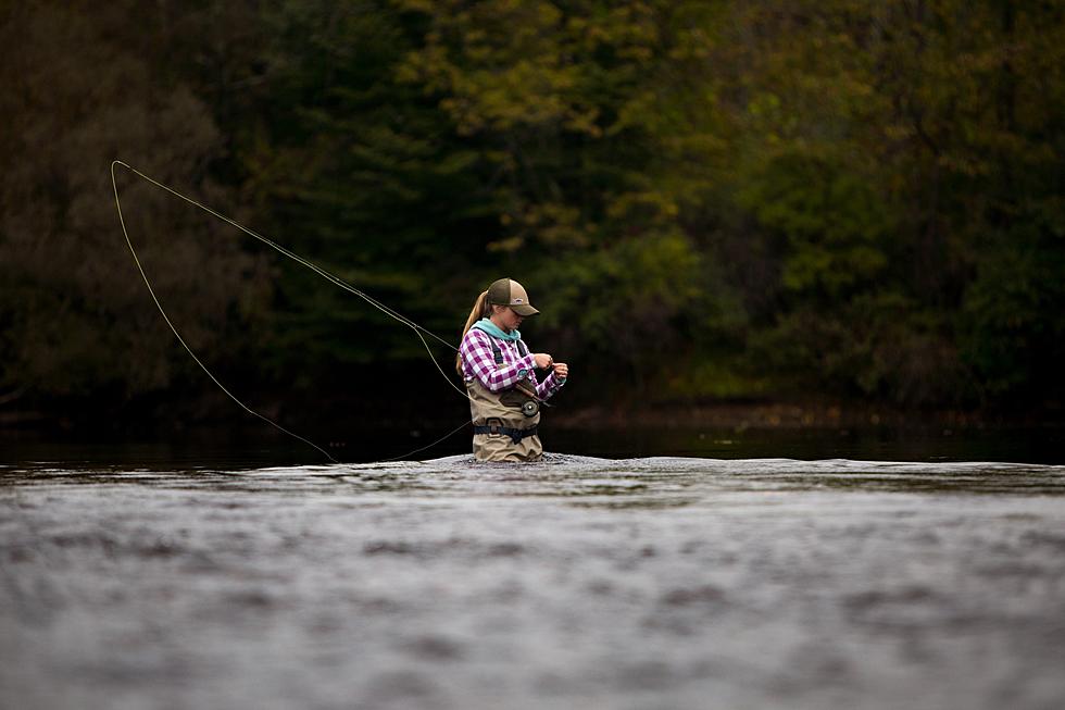 Find More Trout, Here Are the Places Being Stocked in Utica Rome