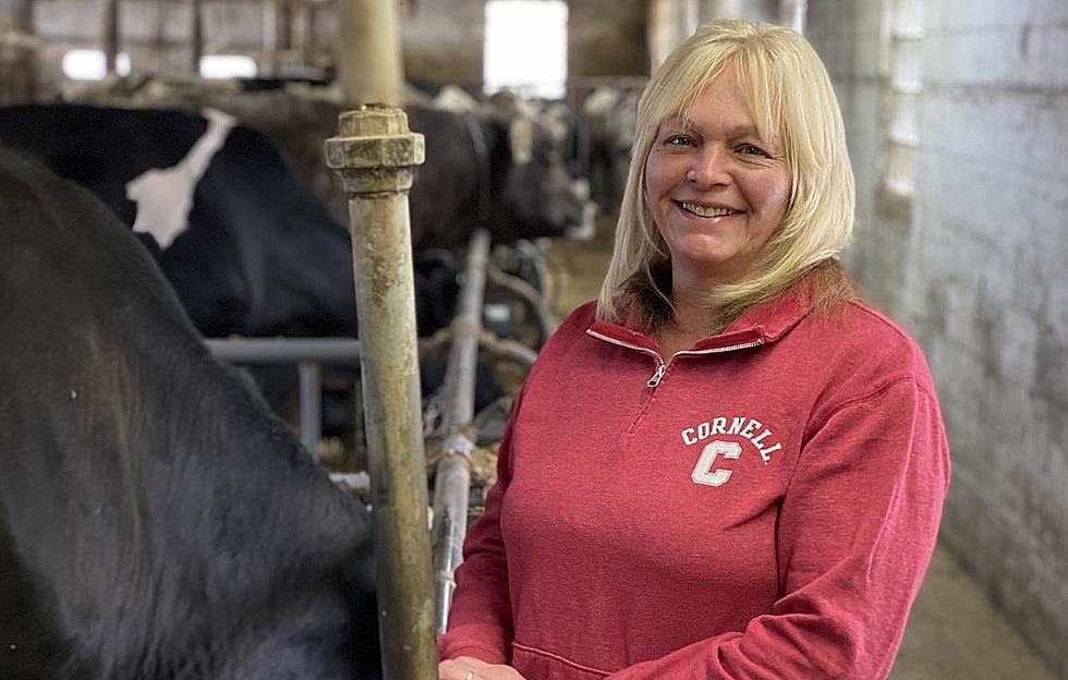 Clayville Woman First Female President of NE Dairy Association