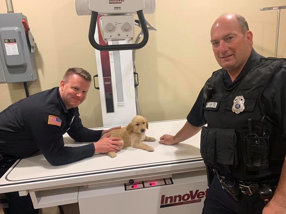 Two New York Cops Save Choking Puppy They Now Call Lucky