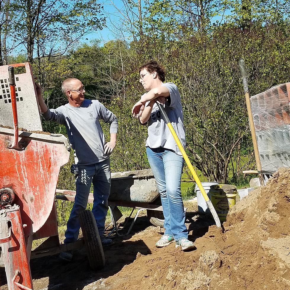 Watch Polly Lay an Egg Trying to Lay Blocks with Armstrong Restoration