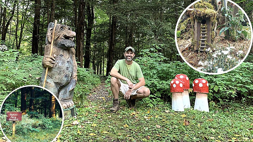 Magical Fairy Trail Through Central New York Forest is No More