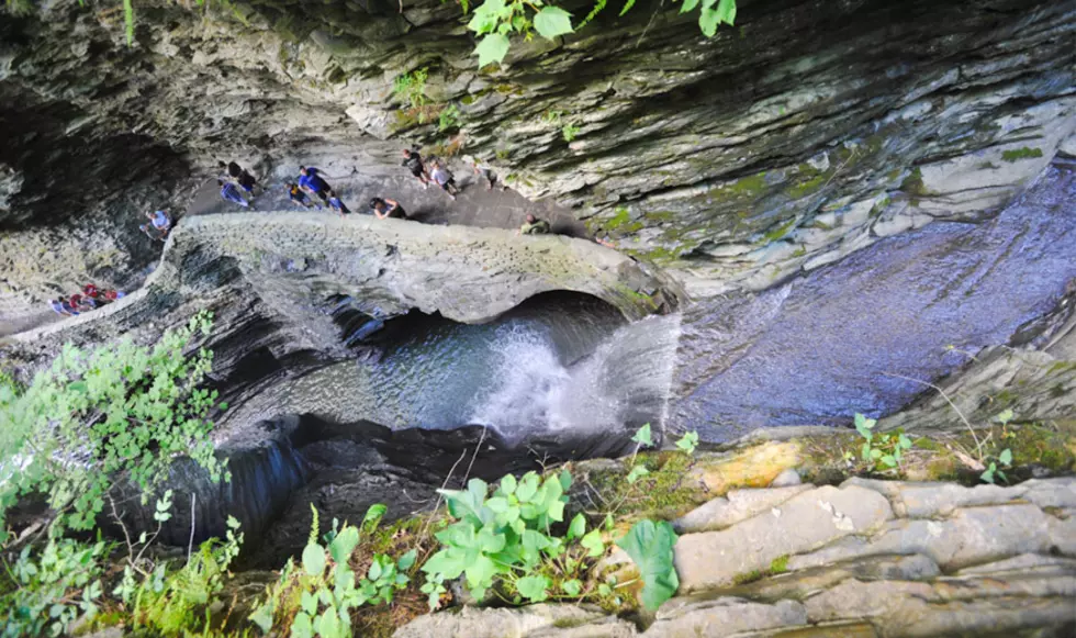 National Magazine Names Finger Lakes Home to Best Park in NY