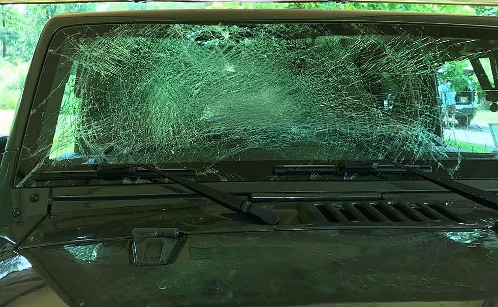 Utica Couple Escape Injury After Turkey Flies Into Car Windshield