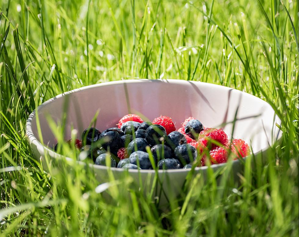 July Means Raspberries and Blueberries are Ripening &#8211; Here&#8217;s Where to Find Fresh Ones