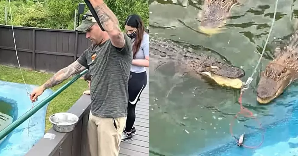 Go Gator Fishing at Wild Animal Park in Chittenango