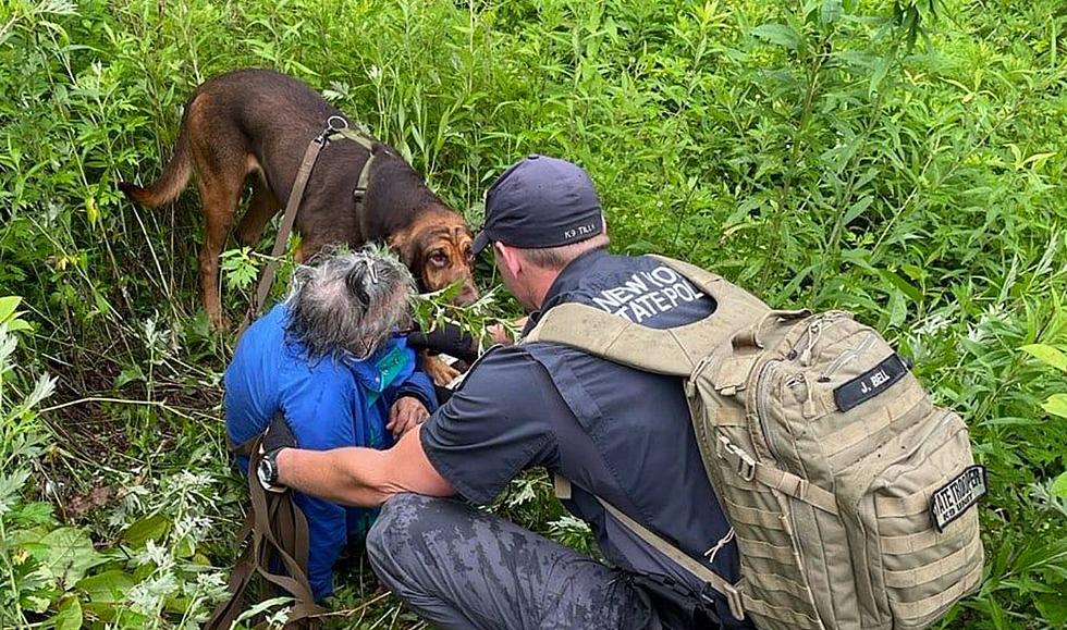 New York State Police K-9 Tilly Rescues Missing Adult