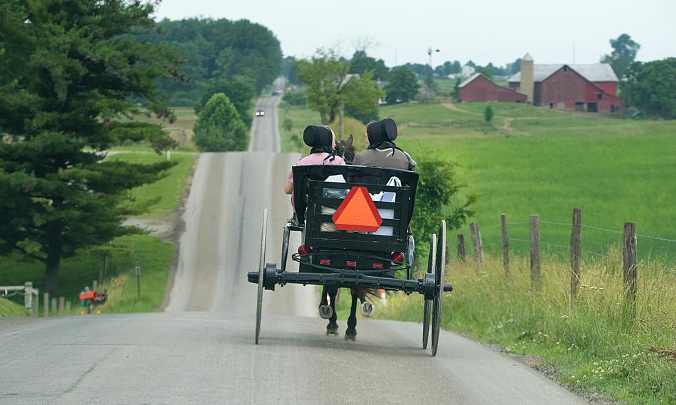 Four Children Injured in Amish Buggy Crash Near Buffalo, Two Critically