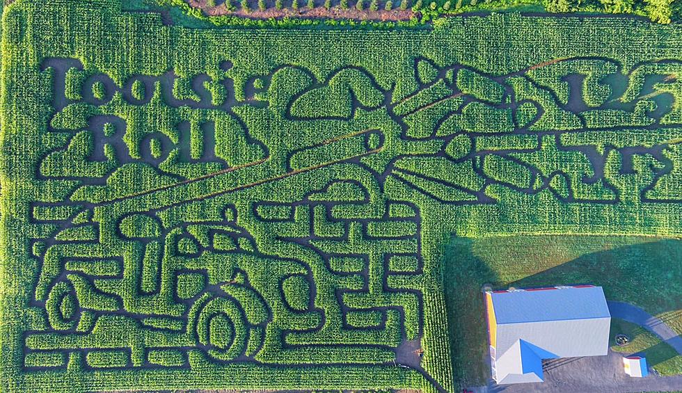 Candy Cannon Corn Maze at New York Farm Celebrates Tootsie Roll Anniversary