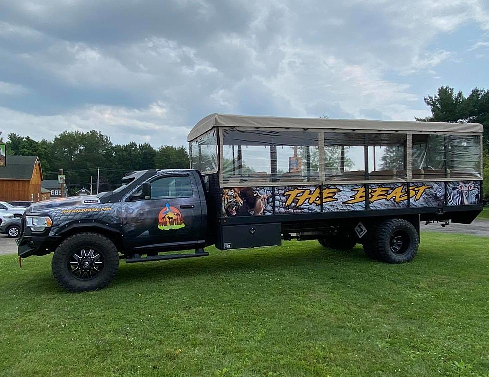 Take on The Beast For a Memorable Drive Thru Safari Experience 