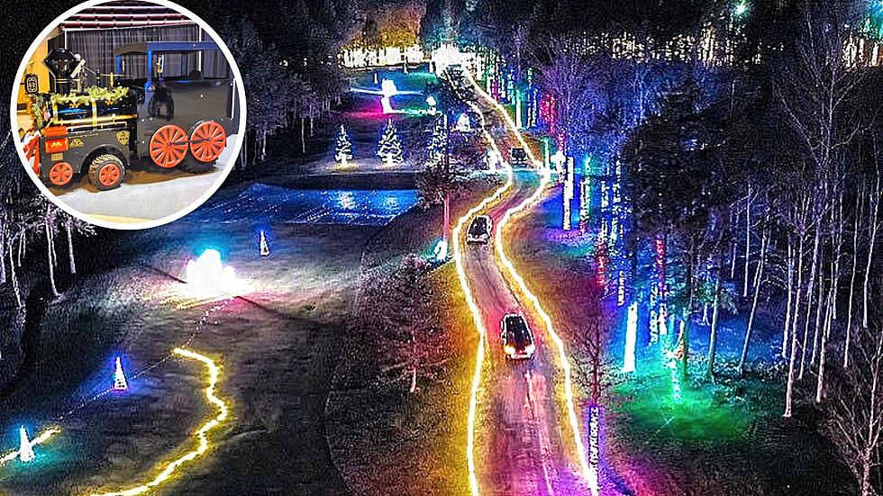 Drive Thru Mile Long Forest of Lights For a Magical Experience