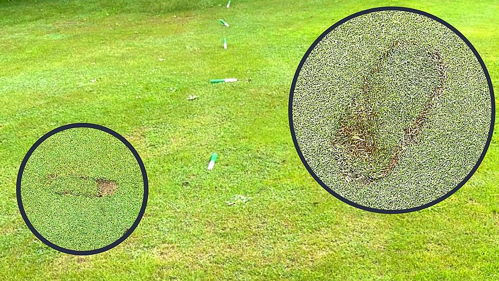 3 Disrespectful Hamilton College Students Vandalize Crystal Springs Golf Course