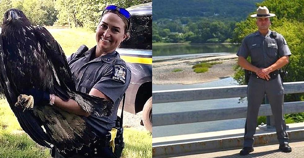 Trooper Saves Man Threatening to Jump, Another Rescues Bald Eagle