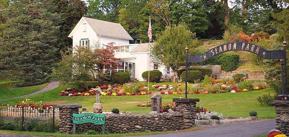 See Hundreds Of Beautiful Mums At Free Festival In Upstate NY