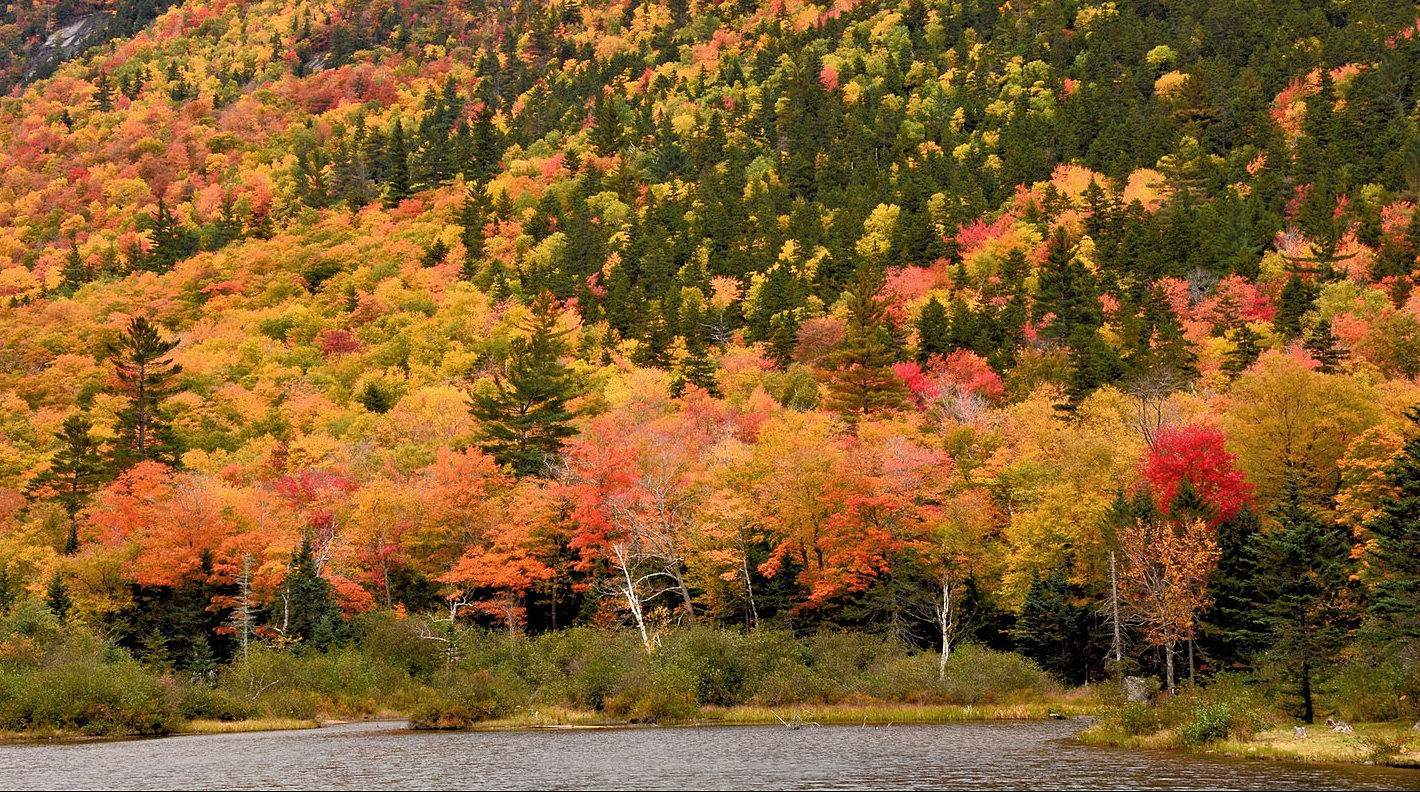 Fall Foliage Peak Periods in the Southeast