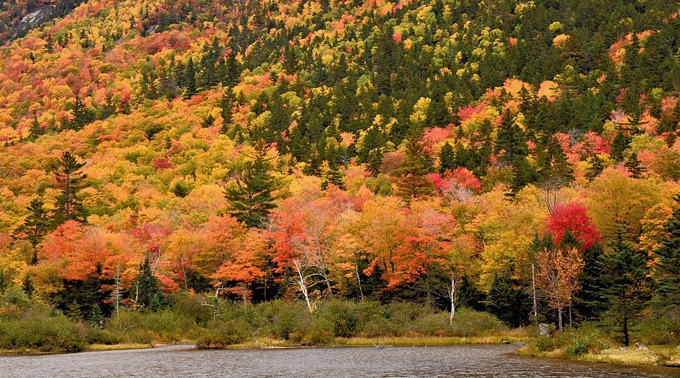 2022 Fall Foliage Map to See Breathtaking Colors in New York