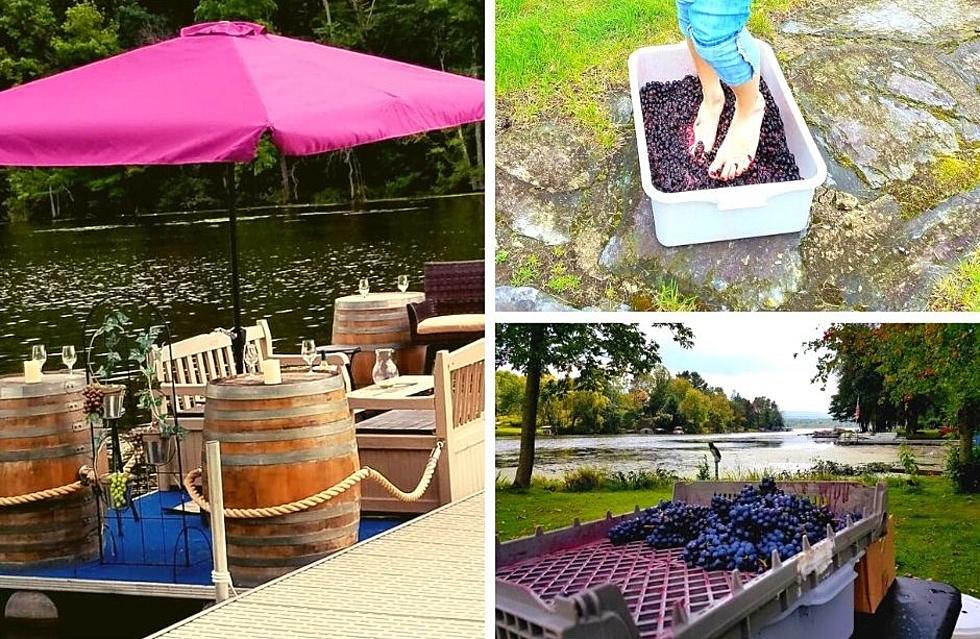 Unique Barge Tour Allows You to Harvest, Stomp & Taste Wine